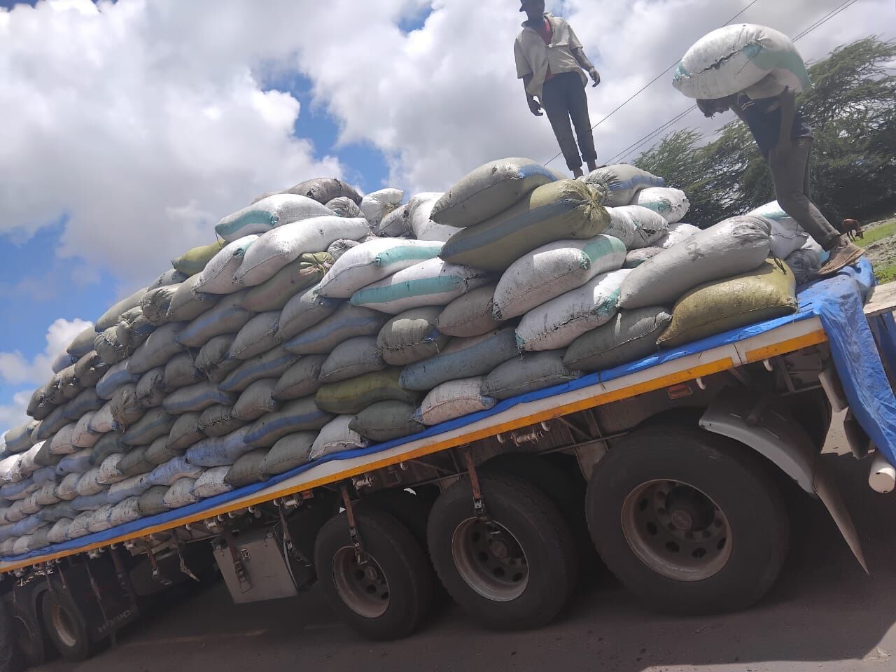 Workers loading sacks onto a flatbed truck
