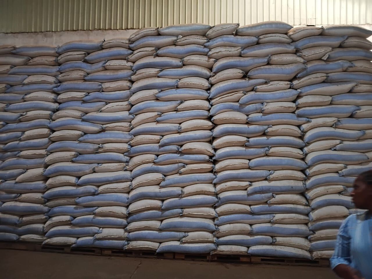 A wall of stacked sacks in a warehouse ready for dispatch