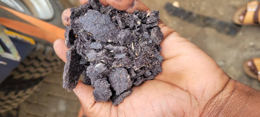 A hand holding pieces of pressed oilseed cake