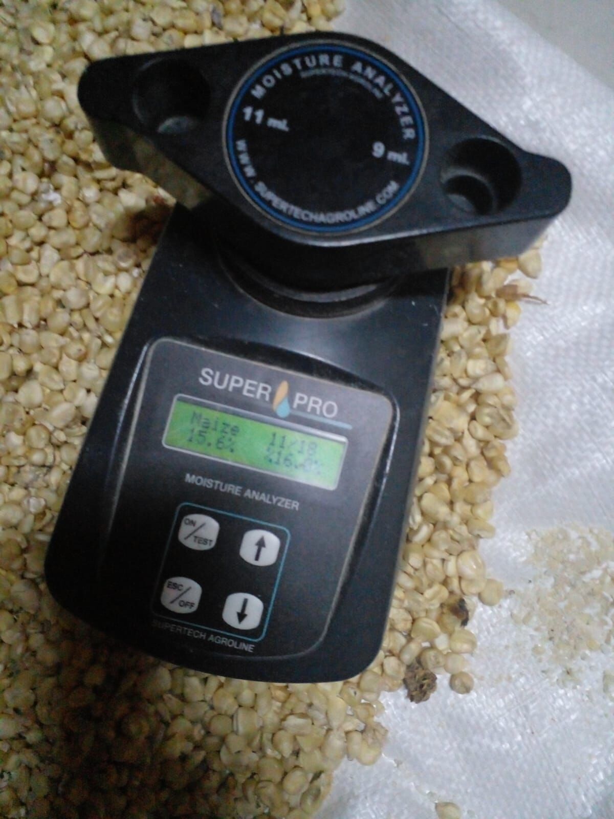 A moisture analyser resting on maize kernels during sampling