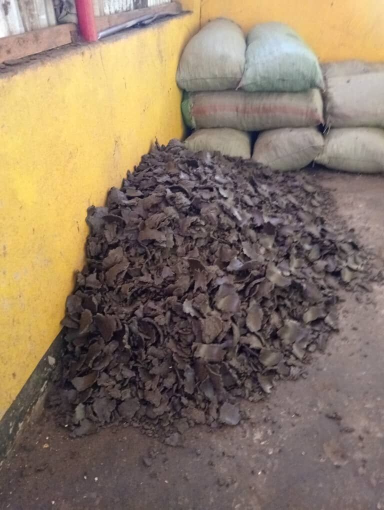 A heap of oilseed cake beside stacked sacks in a store