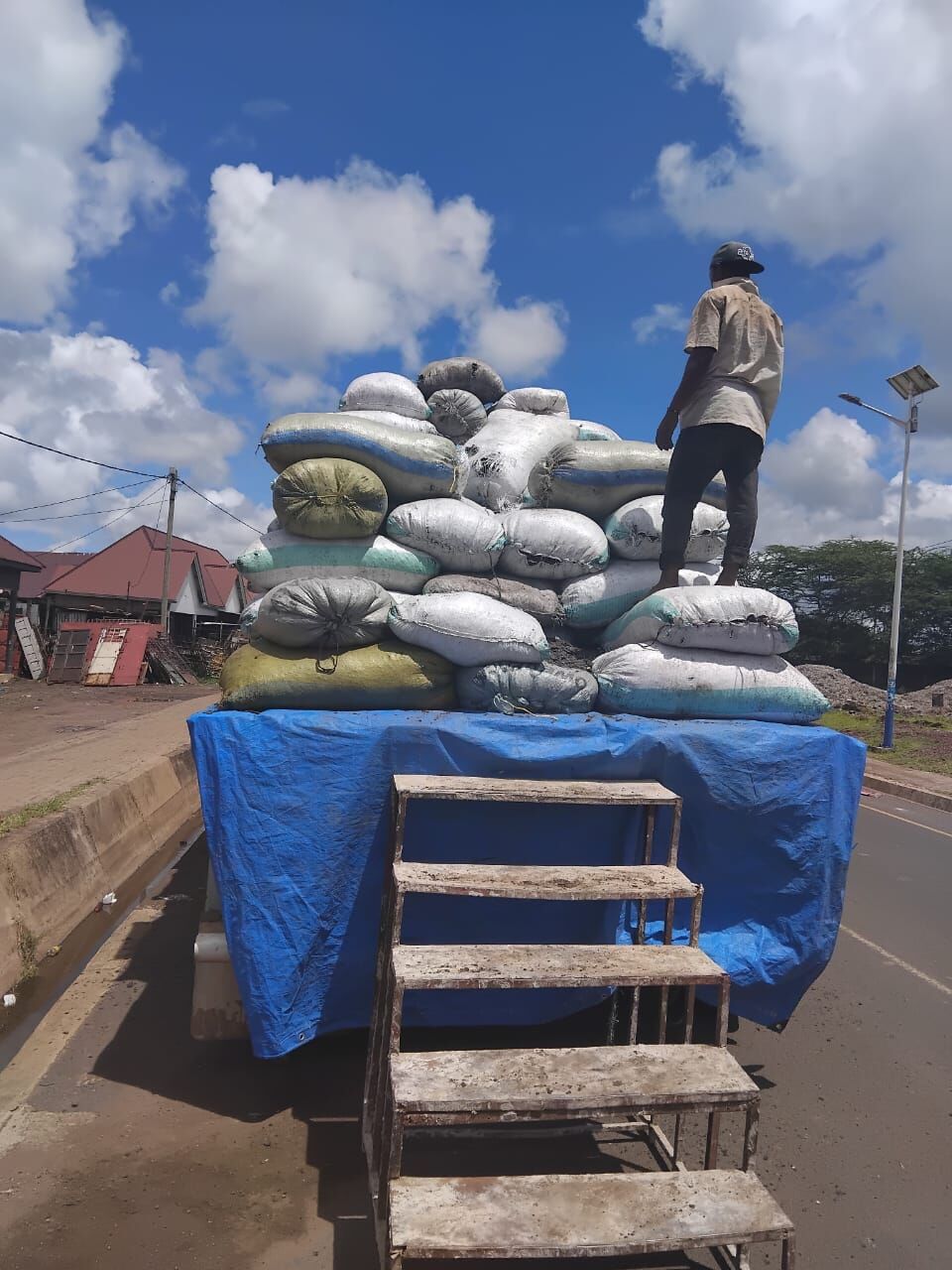 A loader standing on top of a sack-loaded truck covered with a blue tarpaulin